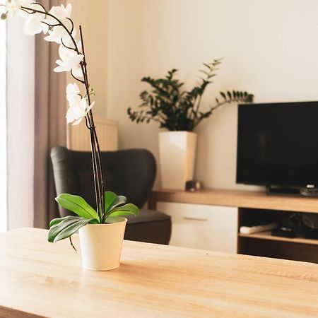 Przy Mocaku II Apartment Krakow Bagian luar foto