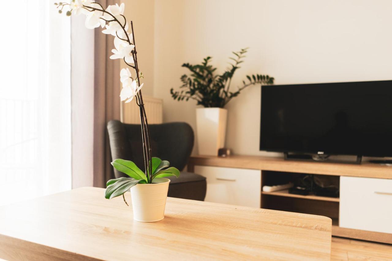 Przy Mocaku II Apartment Krakow Bagian luar foto
